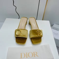 Christian Dior Slippers